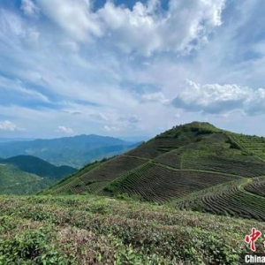 浙江丽水红绿融合探新路：环保材料是时尚产业的“源泉”合成革等产业和生态要融合 ...