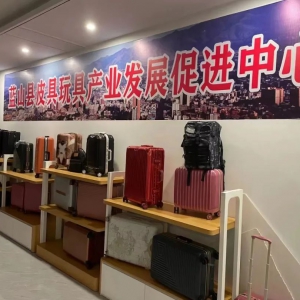 广东省皮具箱包业代表团一行赴蓝山考察调研