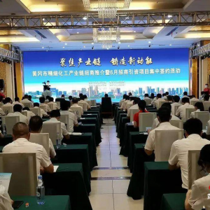 总投资107.2亿，年产合成革28亿米！黄冈集中签约生态新材料产业园等20个项目 ...