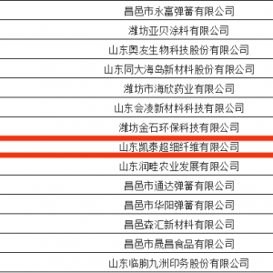 凯泰超纤入选2022年潍坊市“专精特新”中小企业名单