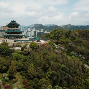 一双鞋带来的发展之变——温岭淘汰落后产能，推动全产业链转型升级 ...