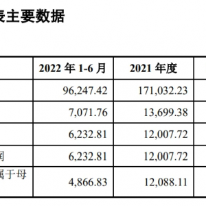 上年度净利1.2亿元！人造革基布企业云中马首发IPO
