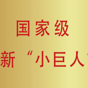 梅盛新材料入选国家级小巨人企业