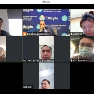 中-埃皮革线上交流会成功举行