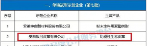 安徽银河皮革入围国家级制造业单项冠军名单！