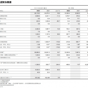 注重可持续创新人造革等内饰产品！ 大陆集团今年第三季度销售额104亿欧元同比增长29.3 ...