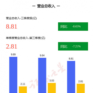 海宁皮城：今年第三季度净利润同比减13.33%