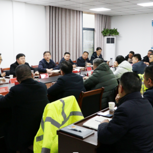 武穴委书记调研督办齐力合成革产业园项目建设情况