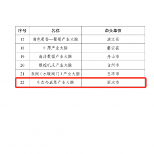 丽水经开区“生态合成革产业大脑”再获省级殊荣