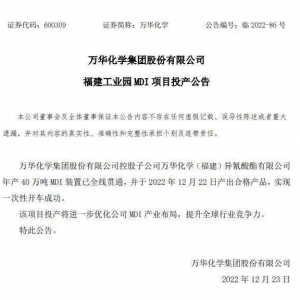 万华化学子公司年产40万吨MDI项目投产