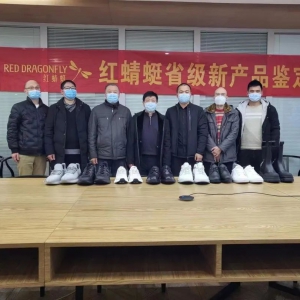 浙江红蜻蜓鞋业股份有限公司开发的8项鞋类新产品通过省级科技新产品鉴定 ...