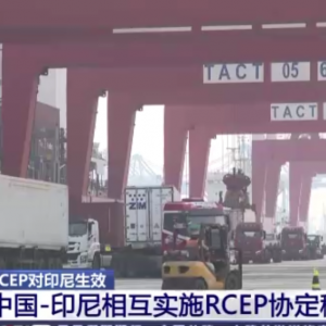 RCEP对印尼生效，服装鞋靴逐步零关税