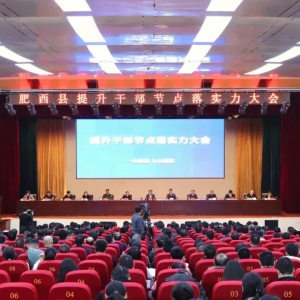 安利股份获肥西县2022年度十佳贡献企业