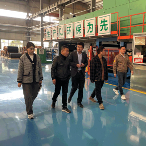 丽水：中国轻工业联合会等专家一行深入调研经开区生态合成革行业 ...