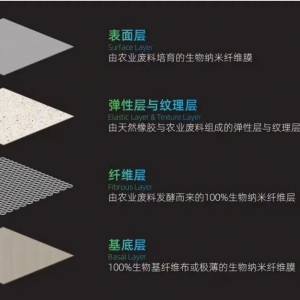 用合成生物技术培育100%生物基皮革，贻如生物获数千万元融资 ...