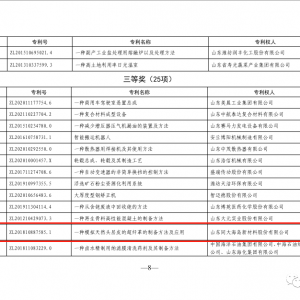 同大股份：“一种模拟天然头层皮的超纤革的制备方法及应用”荣获潍坊市专利奖 ...