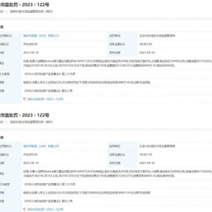 Reima童装关联企业销售不合格童鞋被罚近30万元