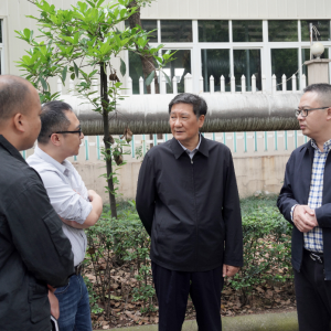 丽水开发区：深入开展合成革等企业专项整治和综合治理，持续提升龙石溪沿线生态环境 ...