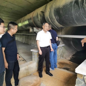 丽水市生态环境局领导赴合成革等企业督导环境披露问题整改 ...