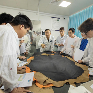 嘉兴学院开展“皮革、合成革技术交流周”活动