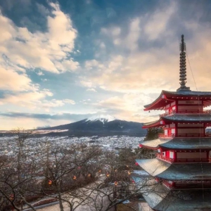 日本服装进口增加，欧美零售市场开始复苏