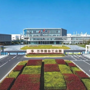 山东：万华化学等企业获评省级重污染天气重点行业绩效评级B级以上 ...