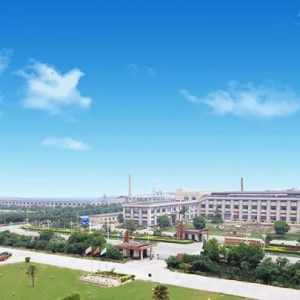 总体盈利能力同比大增！双象股份：子公司重庆双象超纤材料正常生产 ...