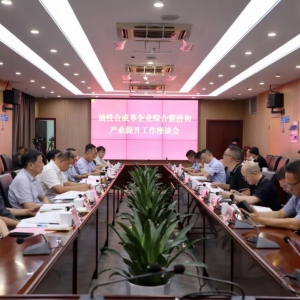 丽水市领导一行赴开发区调研油性合成革企业综合整治工作