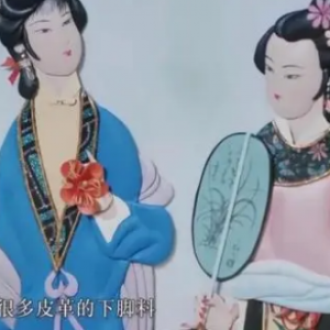 辛集皮贴画亮相央视