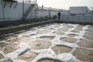 孟加拉国萨瓦尔制革工业区的企业自建污水处理厂