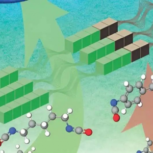 拉伸伸长率近600%！韩国团队开发出了一种生物碳含量高达97%的热塑性聚氨酯 ...