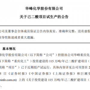 最大规模！重庆华峰化工115万吨/年己二酸扩建项目（六期50万吨/年）试产 ...
