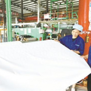 国源股份：今年各项经济指标同比大幅度增长，产品远销海外 ...
