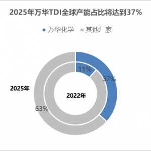 万华化学TDI产能及发展规划：TDI全球行业格局或将重塑