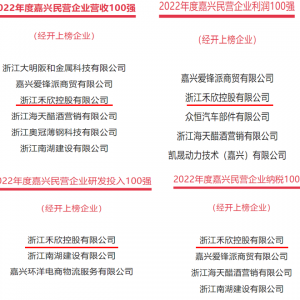 禾欣控股上榜2023年嘉兴经开区民营企业“1+4”百强名单