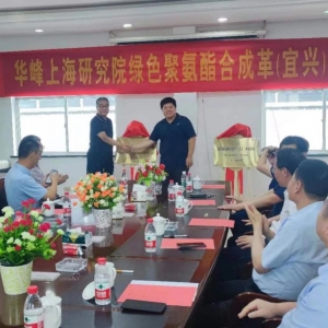 强强联手“创”赢未来！华峰上海研究院绿色聚氨酯合成革（宜兴）孵化基地在江苏国信成 ...