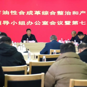 丽水油性合成革综合整治和产业提升专项行动进入“收官”阶段 ...