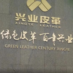 2023年晋江进口盐渍牛皮138万张