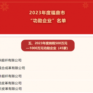国泰超纤、金诚合成革等多家革企上榜2023年度福鼎市“功勋企业”名单 ...