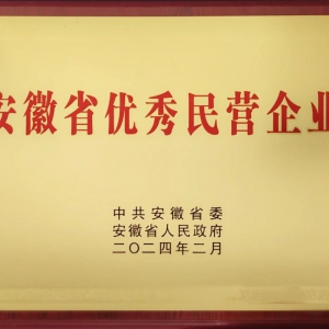 安利股份获评合肥市2023年金融支持“亩均论英雄”改革白名单A级企业 ...