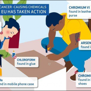 法国CTC批评ECHA在社交媒体上发布错误的皮革信息