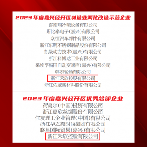 禾欣控股荣获嘉兴市经开区双份殊荣