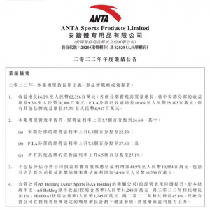 安踏集团去年收益同比增长16.2%，成为首个突破300亿元大关的国产品牌 ...