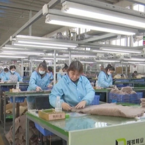 河南上蔡县：聚焦产业链 厚积新动能 全力打造“中原鞋都”