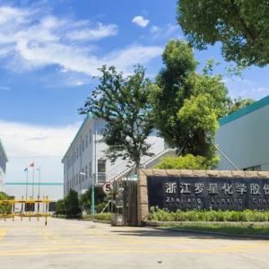 罗星化学：一张订单背后的“破壁”传奇，合成革行业的创新先锋！ ... ...