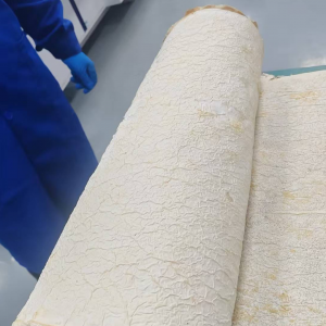 美科乐完成菌丝体皮革中试线搭建，加快产业化进程