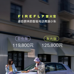 无溶剂与超纤皮革强势赋能，重塑蔚来firefly萤火虫内饰新体验 ...