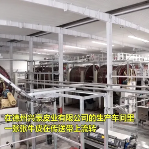 德州海关助力当地皮革出口