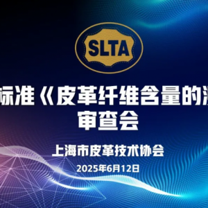 团体标准《皮革纤维含量的测定》审查会顺利召开