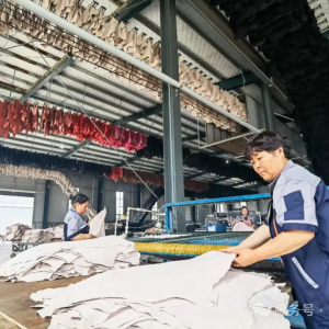 总投资1.8亿元，河南项城这一皮革智能车间预计8月投产